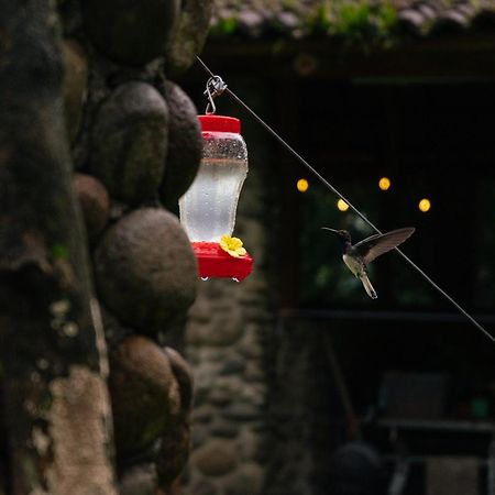 Pura Vista Glamping Hotel El Castillo Exterior photo
